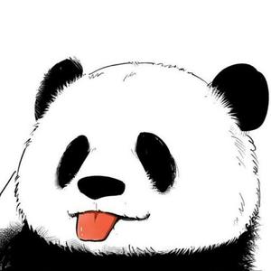 Sin小熊猫的个人资料头像