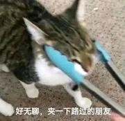 面向api编程的个人资料头像