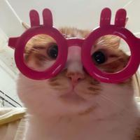 爱分享的京东奶粉头像