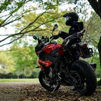 知情达理清道夫1978头像