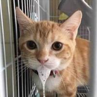 绍兴通发名车汇头像