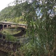 TS拂晓的个人资料头像