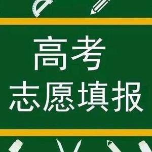 小乙帮你填志愿头像