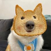 Sigma1的个人资料头像