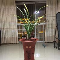 懒龙249头像
