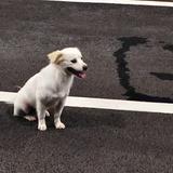 鹿鹿鹿子子子头像