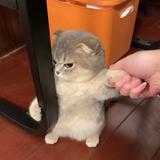 用户2039562785062头像