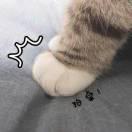 白菜土豆肉的个人资料头像