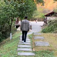 灰太狼Fool头像