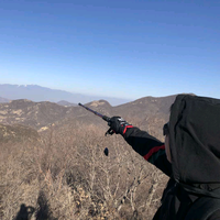 老苑感悟氧吧头像