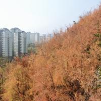 城南君9头像