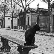 微_困的个人资料头像