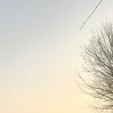 碧海蓝天990111头像