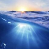 海洋2826178468780头像