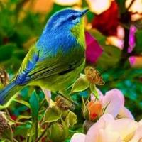 百味人生湖南头像