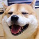 Lee_的个人资料头像