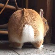 斯巴拉西李的个人资料头像