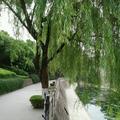 过了做梦年纪708头像