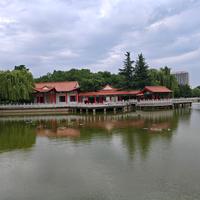 热情的百香果WRn头像