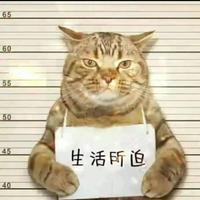 生活对我下手了31头像