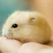 END7475的个人资料头像