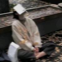 高龄大爷泡茶头像