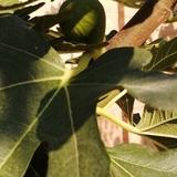 马拉松235头像
