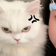 小豪681的个人资料头像