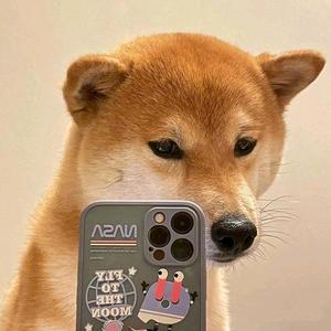 万新文旅道具头像