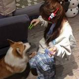 洒脱小羊1pV头像