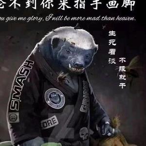 少年爱听书头像