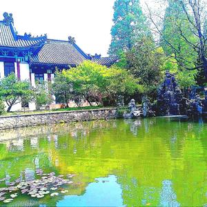 沐枫头像