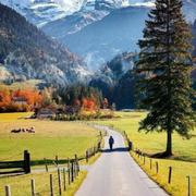 一直在路上673的个人资料头像