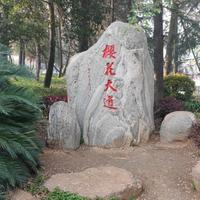 进取云朵aM0头像
