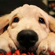 Carter_yu5949的个人资料头像