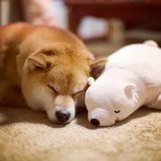 用户4394832799122的个人资料头像