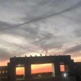 河北科技学院智能九队（曹妃甸校区）头像