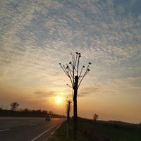 我心至诚22头像