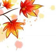 枫叶不太红的个人资料头像