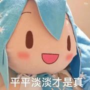 nia111的个人资料头像