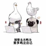 阳光像猪屎一样头像