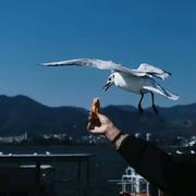 亦杨的个人资料头像