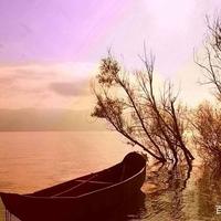 繁华落尽品浮华820头像