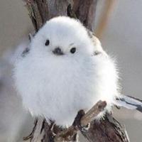 博学多才的阳光nU9头像