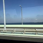 静飞的个人资料头像