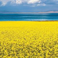 午夜晴空622头像