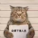 业绩下滑人员头像