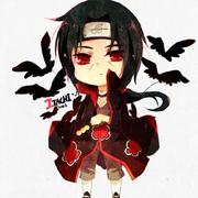 沈塘桥大懒猫的个人资料头像