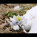 郭宝柱132头像