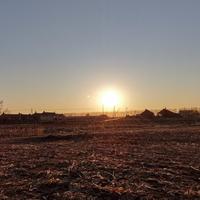 流浪De蚂蚁头像